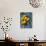 Close-up of Lemons on Tree, Spain-John Miller-Photographic Print displayed on a wall