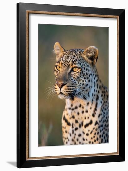 Close-Up of Leopard (Panthera Pardus), Serengeti National Park, Tanzania-null-Framed Photographic Print