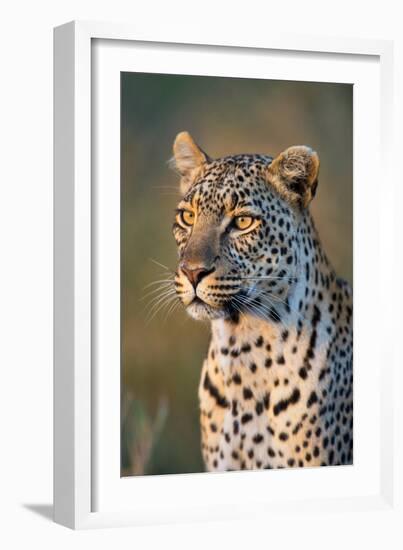 Close-Up of Leopard (Panthera Pardus), Serengeti National Park, Tanzania-null-Framed Photographic Print