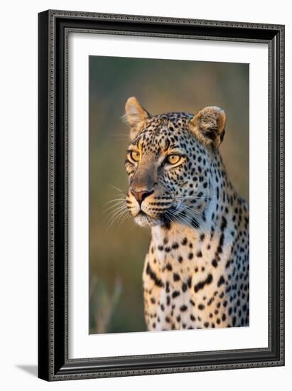 Close-Up of Leopard (Panthera Pardus), Serengeti National Park, Tanzania-null-Framed Photographic Print