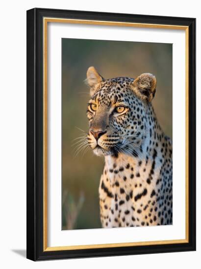 Close-Up of Leopard (Panthera Pardus), Serengeti National Park, Tanzania-null-Framed Photographic Print