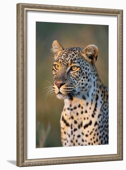 Close-Up of Leopard (Panthera Pardus), Serengeti National Park, Tanzania-null-Framed Photographic Print