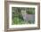 Close-up of Leopard Standing in Green Foliage, Ngorongoro, Tanzania-James Heupel-Framed Photographic Print