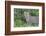 Close-up of Leopard Standing in Green Foliage, Ngorongoro, Tanzania-James Heupel-Framed Photographic Print