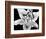 Close Up of Lily Flower-null-Framed Photographic Print