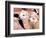 Close-up of Llamas, Cuzco, Peru-Bill Bachmann-Framed Photographic Print