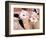 Close-up of Llamas, Cuzco, Peru-Bill Bachmann-Framed Photographic Print