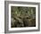 Close-up of Male and Female Moose Nuzzle, Anchorage, Alaska, USA-Arthur Morris-Framed Photographic Print