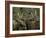 Close-up of Male and Female Moose Nuzzle, Anchorage, Alaska, USA-Arthur Morris-Framed Photographic Print