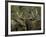Close-up of Male and Female Moose Nuzzle, Anchorage, Alaska, USA-Arthur Morris-Framed Photographic Print