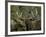 Close-up of Male and Female Moose Nuzzle, Anchorage, Alaska, USA-Arthur Morris-Framed Photographic Print