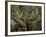 Close-up of Male and Female Moose Nuzzle, Anchorage, Alaska, USA-Arthur Morris-Framed Photographic Print