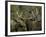 Close-up of Male and Female Moose Nuzzle, Anchorage, Alaska, USA-Arthur Morris-Framed Photographic Print