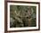 Close-up of Male and Female Moose Nuzzle, Anchorage, Alaska, USA-Arthur Morris-Framed Photographic Print