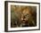 Close-Up of Male Lion (Panthera Leo), Mala Mala Game Reserve, Sabi Sand Park, South Africa, Africa-Sergio Pitamitz-Framed Photographic Print