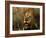 Close-Up of Male Lion (Panthera Leo), Mala Mala Game Reserve, Sabi Sand Park, South Africa, Africa-Sergio Pitamitz-Framed Photographic Print