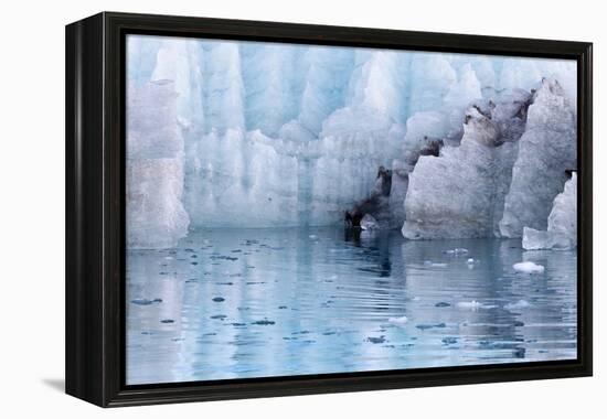 Close-Up of Margerie Glacier, Glacier Bay National Park, Alaska, USA-Jaynes Gallery-Framed Premier Image Canvas