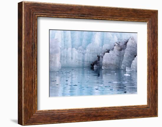 Close-Up of Margerie Glacier, Glacier Bay National Park, Alaska, USA-Jaynes Gallery-Framed Photographic Print