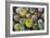 Close-Up of Multi-Colored Cacti-null-Framed Photographic Print