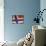 Close-up of Norwegian Flag-null-Mounted Photographic Print displayed on a wall
