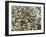 Close-Up of Olives Harvested at Frantoio Galantino, Bisceglie, Puglia, Italy-Michael Newton-Framed Photographic Print