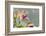 Close-up of Orchid flowers in bloom-Panoramic Images-Framed Photographic Print