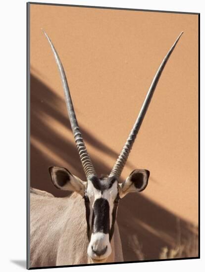 Close-Up of Oryx, Namib-Naukluft Park, Namibia, Africa-Wendy Kaveney-Mounted Photographic Print