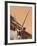 Close-Up of Oryx, Namib-Naukluft Park, Namibia, Africa-Wendy Kaveney-Framed Photographic Print