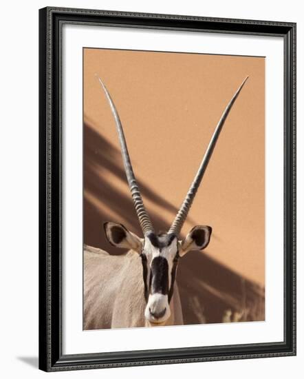 Close-Up of Oryx, Namib-Naukluft Park, Namibia, Africa-Wendy Kaveney-Framed Photographic Print