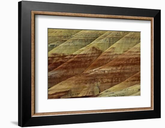 Close-up of Painted Hills, John Day Fossil Beds National Monument, Mitchell, Oregon, USA.-Michel Hersen-Framed Photographic Print