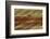 Close-up of Painted Hills, John Day Fossil Beds National Monument, Mitchell, Oregon, USA.-Michel Hersen-Framed Photographic Print