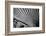 Close-Up of Palm leaves, California, USA-Panoramic Images-Framed Photographic Print