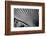 Close-Up of Palm leaves, California, USA-Panoramic Images-Framed Photographic Print