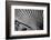 Close-Up of Palm leaves, California, USA-Panoramic Images-Framed Photographic Print