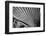 Close-Up of Palm leaves, California, USA-Panoramic Images-Framed Photographic Print