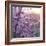 Close up of Peach tree blossom, Lleida, Catalonia, Spain-Juan Carlos Munoz-Framed Photographic Print