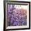 Close up of Peach tree blossom, Lleida, Catalonia, Spain-Juan Carlos Munoz-Framed Photographic Print