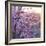 Close up of Peach tree blossom, Lleida, Catalonia, Spain-Juan Carlos Munoz-Framed Photographic Print