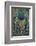 Close-up of peacock tail feather-Maresa Pryor-Framed Photographic Print