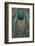 Close-up of peacock tail feather-Maresa Pryor-Framed Photographic Print