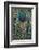 Close-up of peacock tail feather-Maresa Pryor-Framed Photographic Print