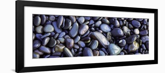 Close-up of Pebbles, Sandymouth Beach, Cornwall, England-null-Framed Photographic Print