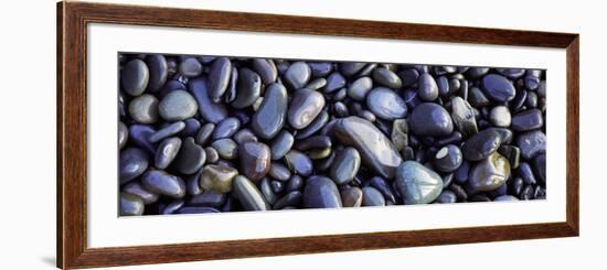 Close-up of Pebbles, Sandymouth Beach, Cornwall, England-null-Framed Photographic Print