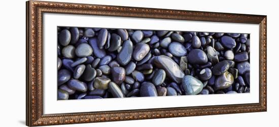 Close-up of Pebbles, Sandymouth Beach, Cornwall, England-null-Framed Photographic Print