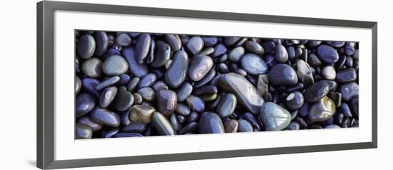 Close-up of Pebbles, Sandymouth Beach, Cornwall, England-null-Framed Photographic Print