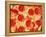 Close-up of Pepperoni Pizza-Mitch Diamond-Framed Premier Image Canvas