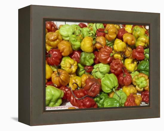 Close-Up of Peppers for Sale on a Food Stall, Arima, Trinidad, West Indies, Caribbean-Robert Harding-Framed Premier Image Canvas