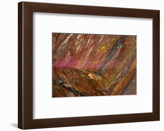 Close-up of petrified wood, Petrified Forest National Park, Holbrook, Arizona, USA.-Michel Hersen-Framed Photographic Print