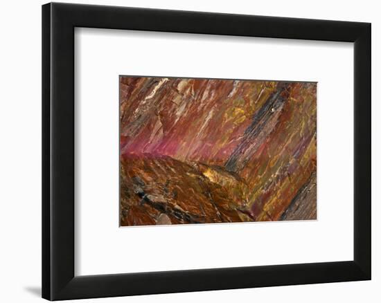 Close-up of petrified wood, Petrified Forest National Park, Holbrook, Arizona, USA.-Michel Hersen-Framed Photographic Print