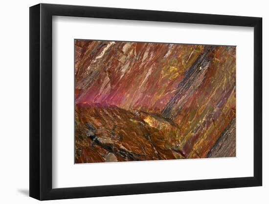 Close-up of petrified wood, Petrified Forest National Park, Holbrook, Arizona, USA.-Michel Hersen-Framed Photographic Print